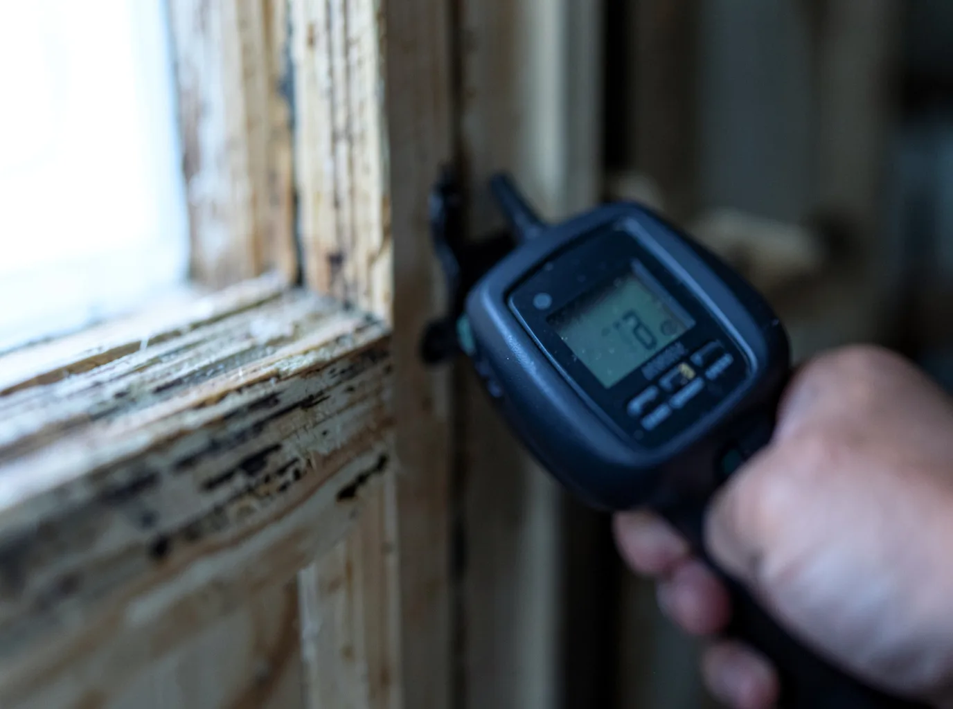 Moisture Inspection And Documentation in Carville, LA